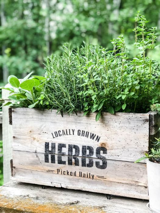 43 Easy DIY Wedding Gifts For Any Couples That You Can Make 22 DIY Wine Box Herb Garden